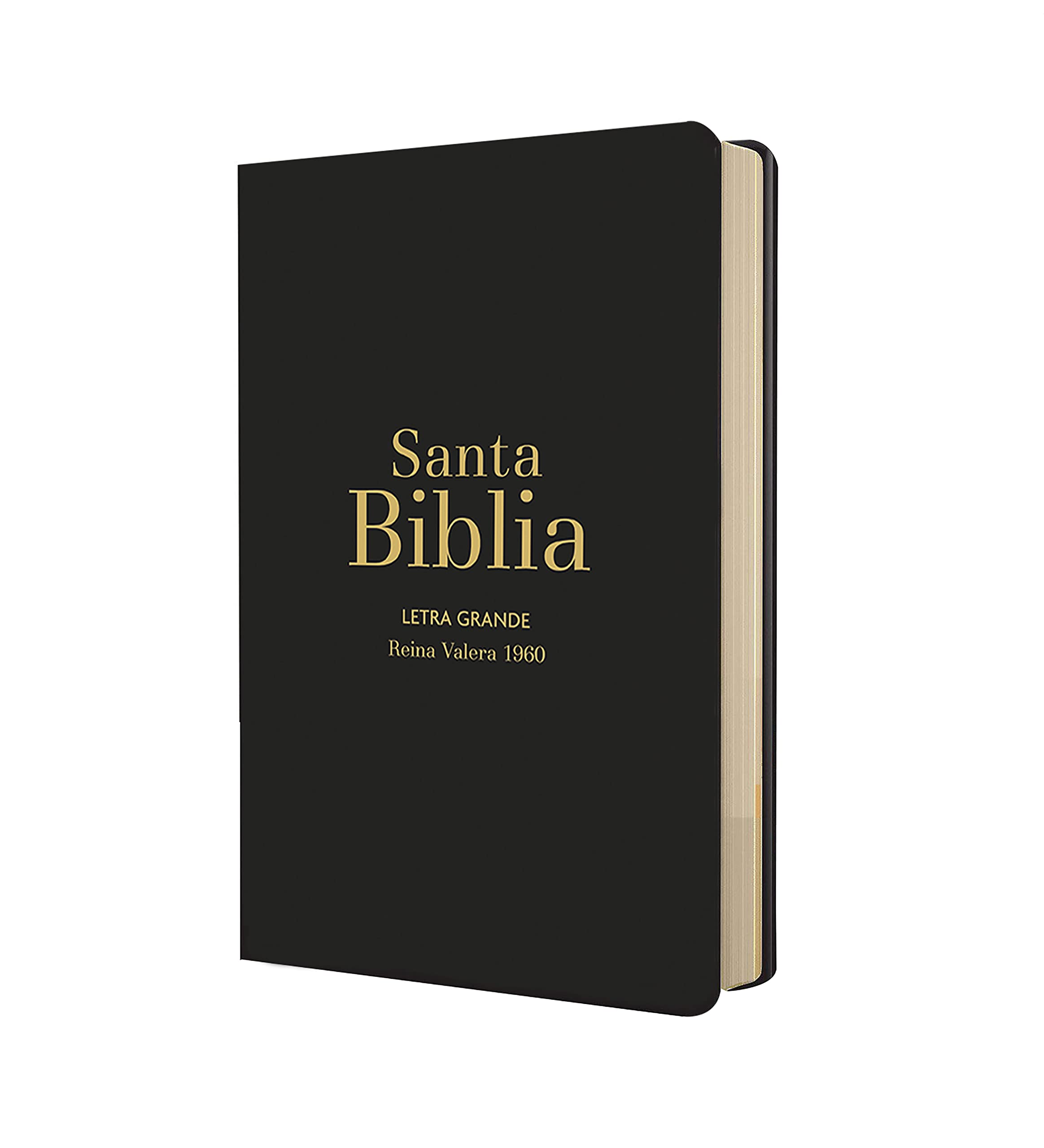 Biblia RVR1960 Letra Grande Negro Vinilo Manual Cierre Índice