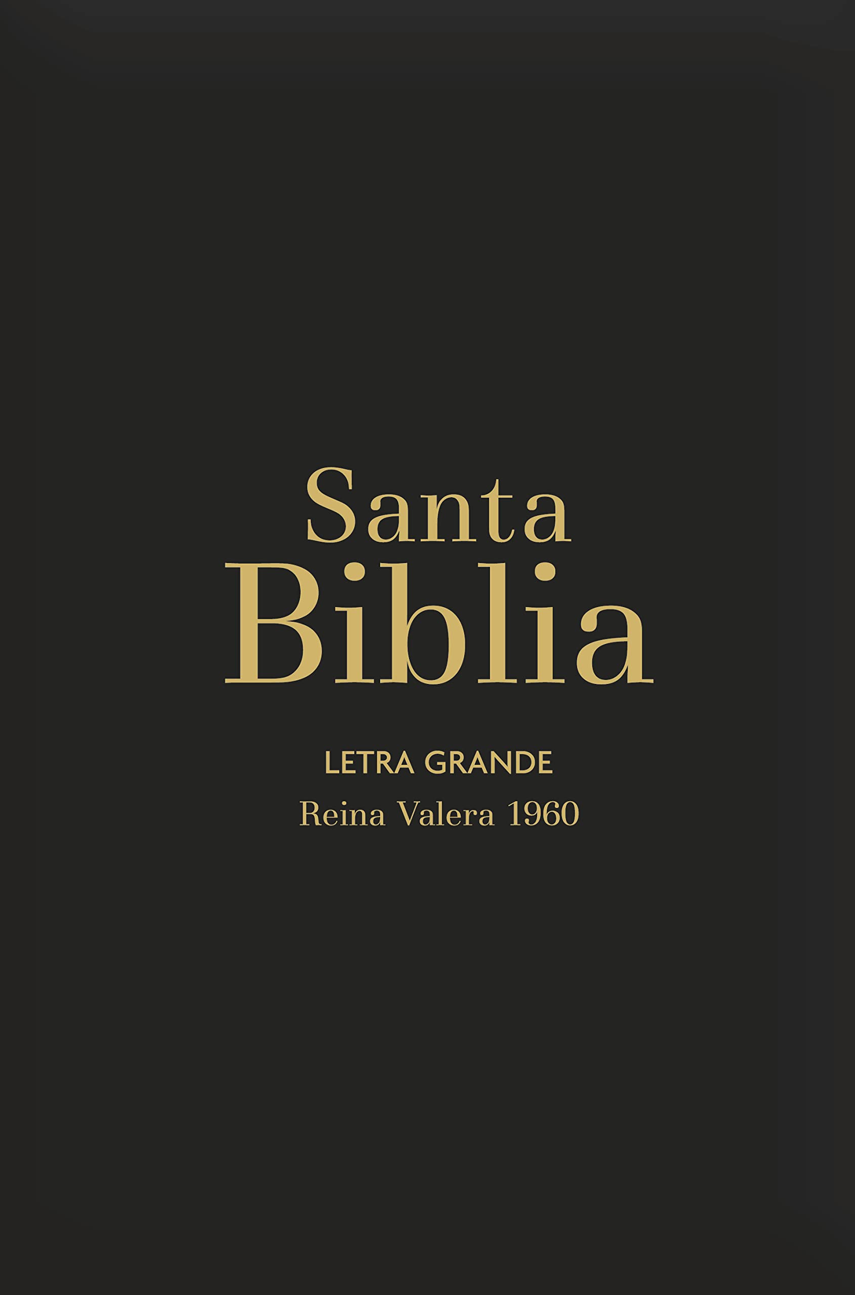 Biblia RVR1960 Letra Grande Negro Vinilo Manual Cierre Índice