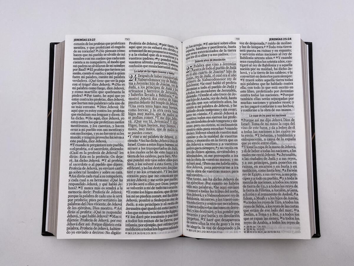Biblia RVR1960 Manual Letra Grande Negro moderno Tapa Dura 12pt