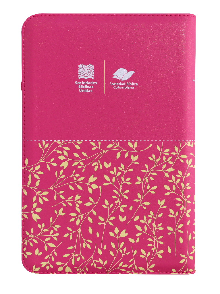 Biblia Rvr1960 Mediana Letra Grande Fucsia Hojitas Rvr065czl