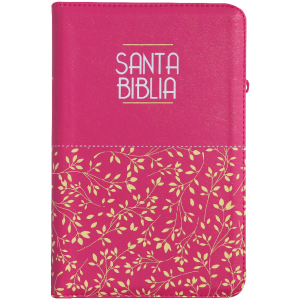 Biblia Rvr1960 Mediana Letra Grande Fucsia Hojitas Rvr065czl