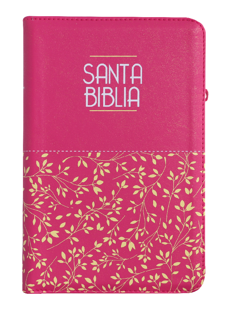Biblia Rvr1960 Mediana Letra Grande Fucsia Hojitas Rvr065czl