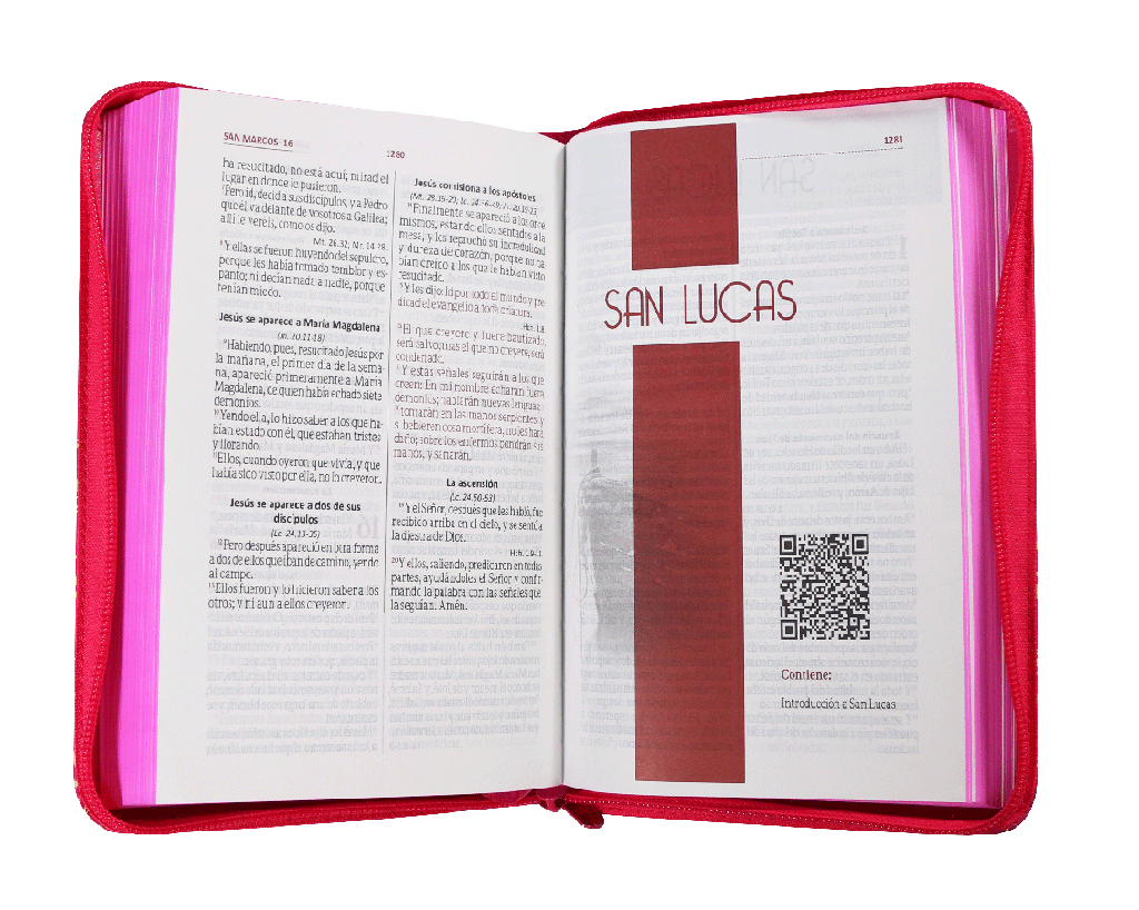 Biblia Rvr1960 Mediana Letra Grande Fucsia Hojitas Rvr065czl