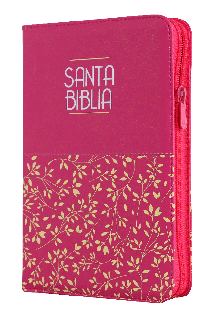 Biblia Rvr1960 Mediana Letra Grande Fucsia Hojitas Rvr065czl