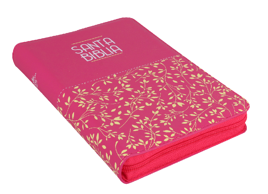 Biblia Rvr1960 Mediana Letra Grande Fucsia Hojitas Rvr065czl