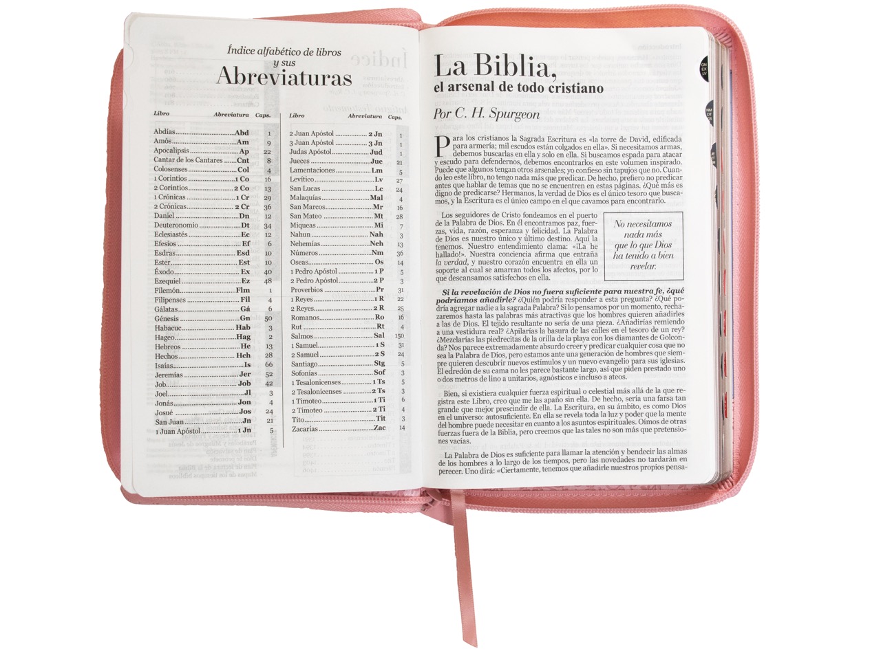 Biblia RVR1960 Rosa Azul Manual Cierre Índice 12.5pt 065PJR