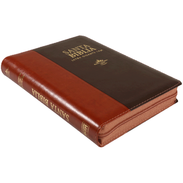 Biblia RVR1960 Mediana Piel Marrón Café Índice 14pt RVR066cLSGiPJRZTI - Image 3
