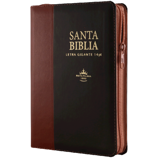 Biblia RVR1960 Mediana Piel Marrón Café Índice 14pt RVR066cLSGiPJRZTI - Image 4