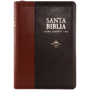 Biblia RVR1960 Mediana Piel Marrón Café Índice 14pt RVR066cLSGiPJRZTI