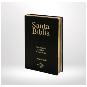 Biblia RVR1960 Mediana Concordancia Negro 12pt RVR062CLGPJR