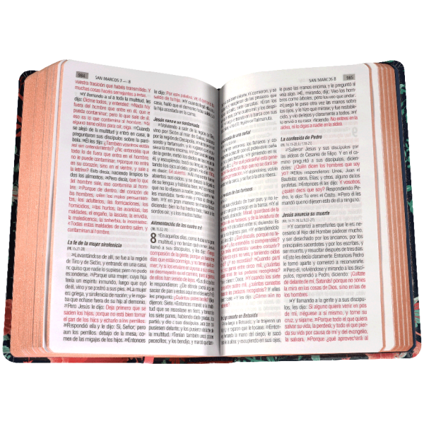 Biblia RVR1960 Mediana Azul Flores RVR063CLGPJR - Image 2