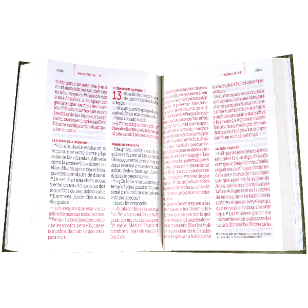 Biblia TLA Tapa Dura Marrón Letra Super Gigante TLA083LSGiPJR - Image 2