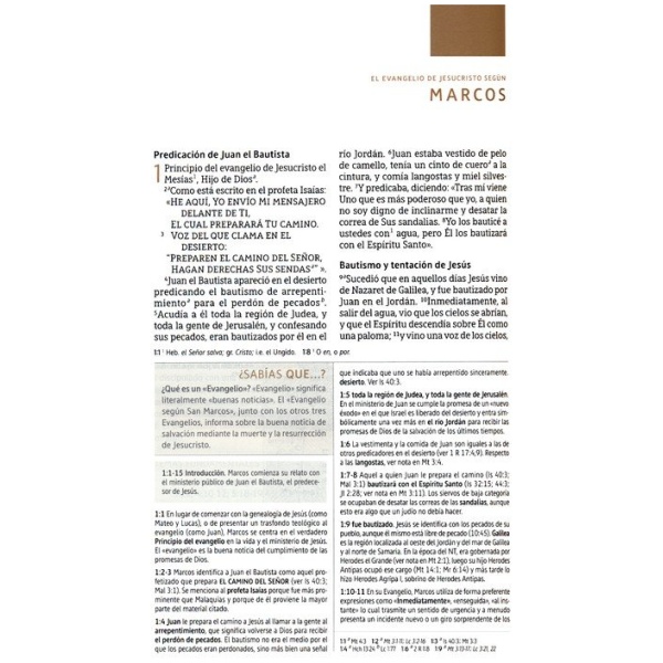 Biblia NBLA Gris Leathersoft dos colores índice - Image 3