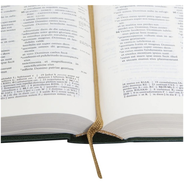 Biblia Sacra Vulgata Tapa Dura Verde - Image 2