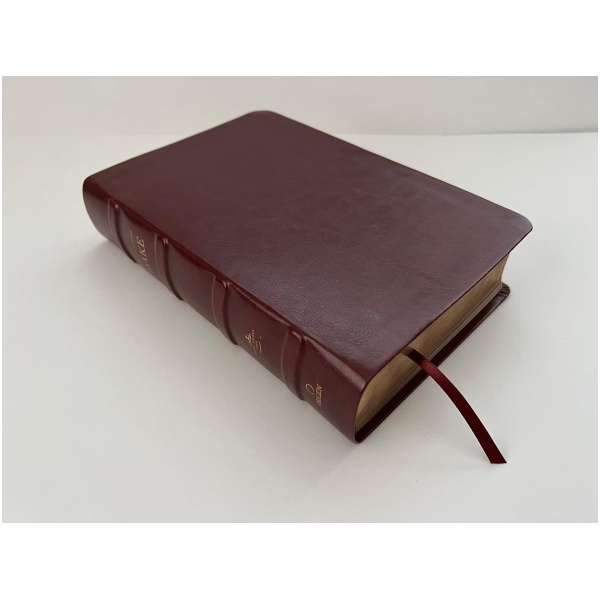 Biblia RVR1960 Dake Estudio Grande Piel Marrón - Image 2