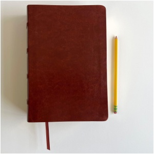 Biblia RVR1960 Dake Estudio Grande Piel Marrón