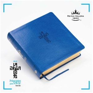 Biblia RVR1960 QR Principios para vivir simil piel azul