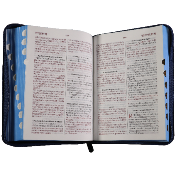 Biblia RVR1960 Mediana Jeans Azul  QR RVR054cJZTILGaPJR - Image 2