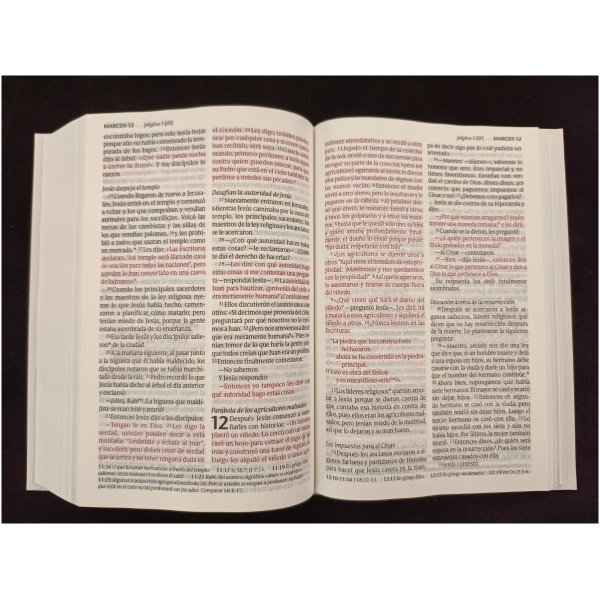 Biblia Ntv Nuestra Boda Tapa Dura - Image 6