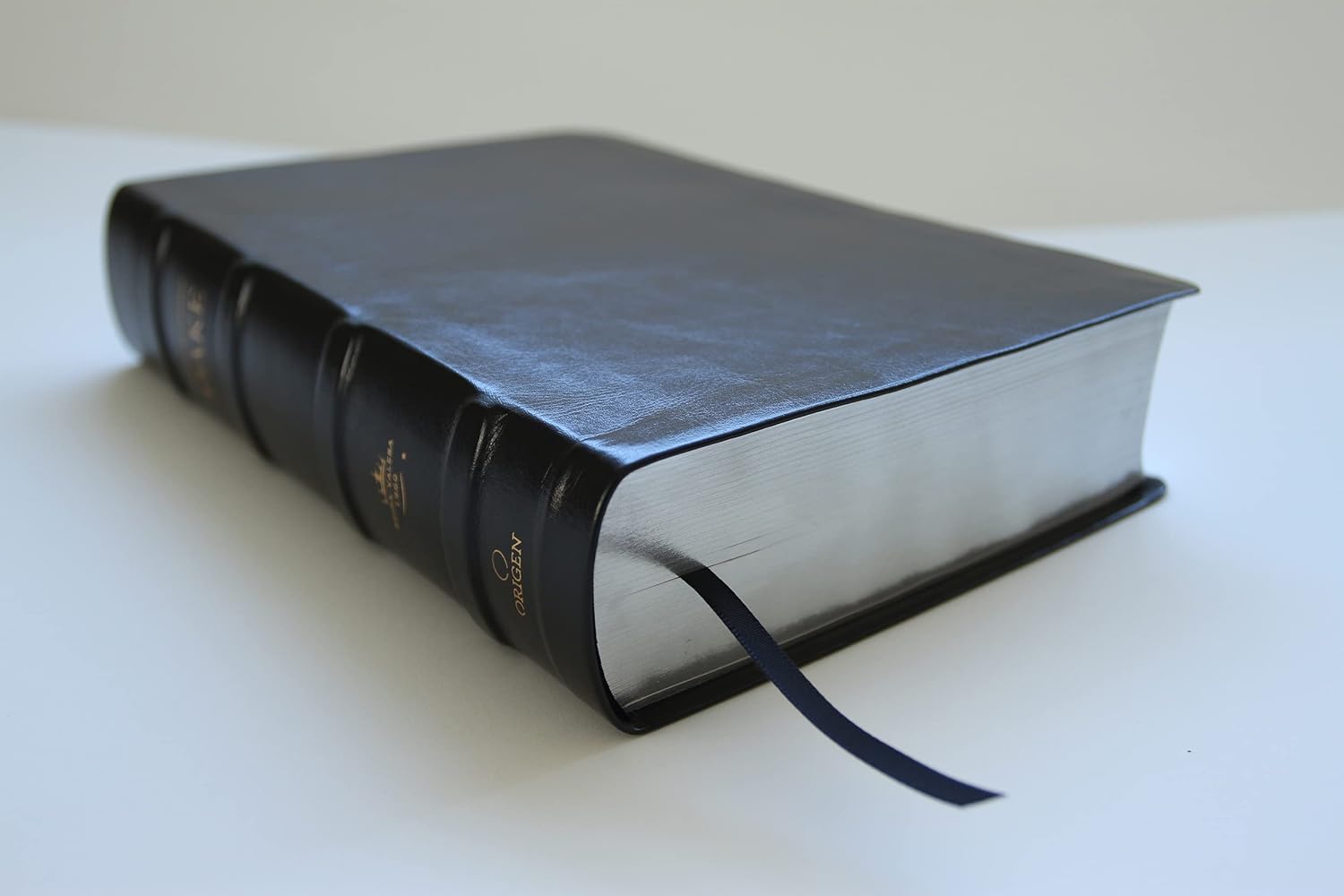 Biblia RVR1960 Dake Estudio Piel Negra