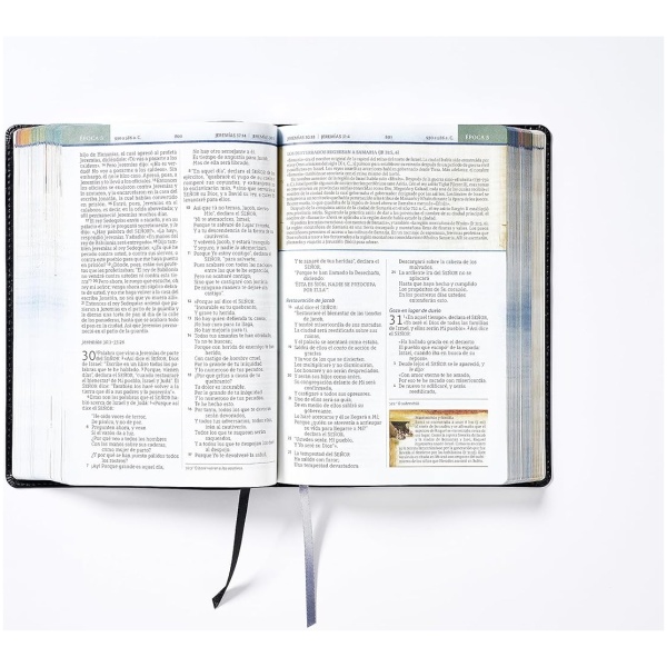 Biblia Nbla Cronológica De Estudio Negra Imitación Piel - Image 7
