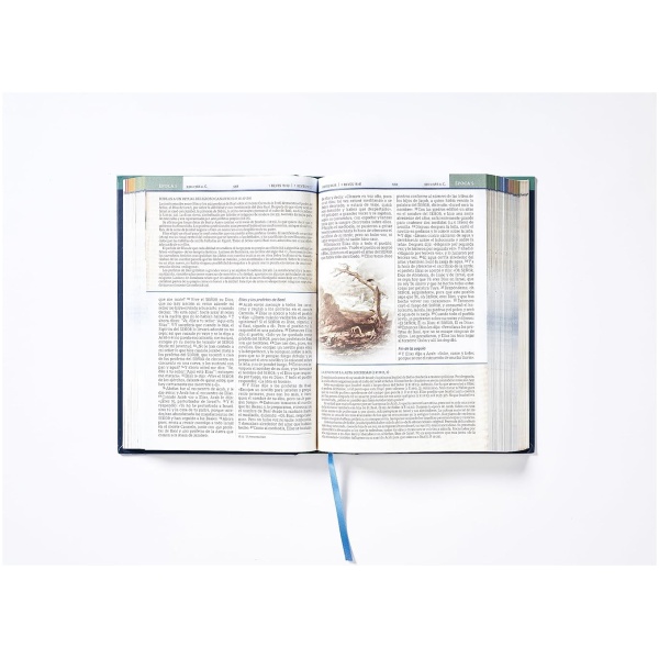 Biblia Nbla Cronológica De Estudio Tapa Dura - Image 5