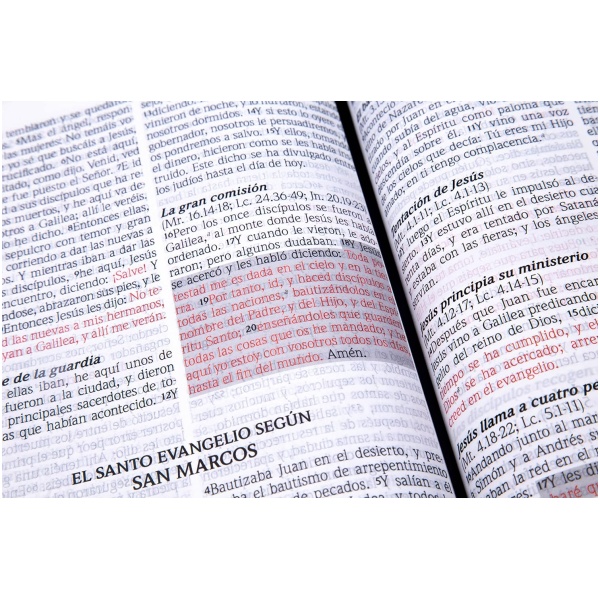 Biblia RVR1960 De Promesas Jesús Para Todos Letra Grande Manual Piel Índice Cierre - Image 2