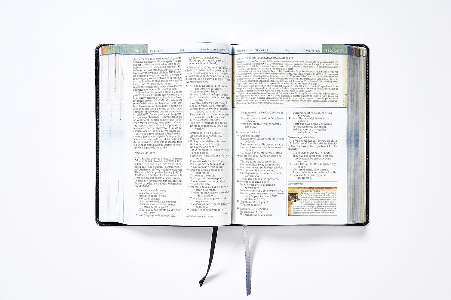 Biblia Nbla Cronológica De Estudio Negra Imitación Piel