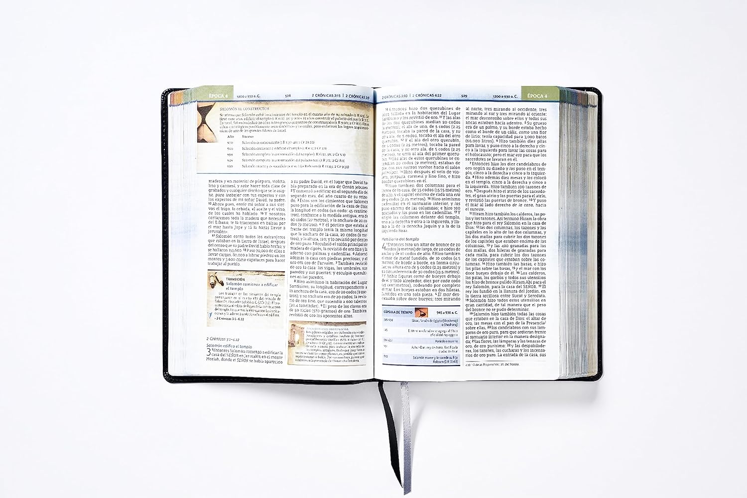Biblia Nbla Cronológica De Estudio Negra Imitación Piel