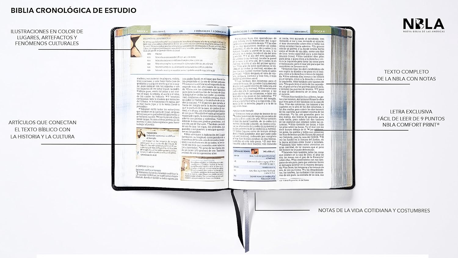 Biblia Nbla Cronológica De Estudio Negra Imitación Piel