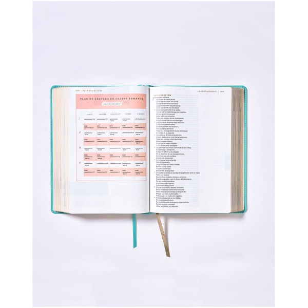 Biblia NBLA Ama A Dios Grandemente, Leathersoft Turquesa - Image 5