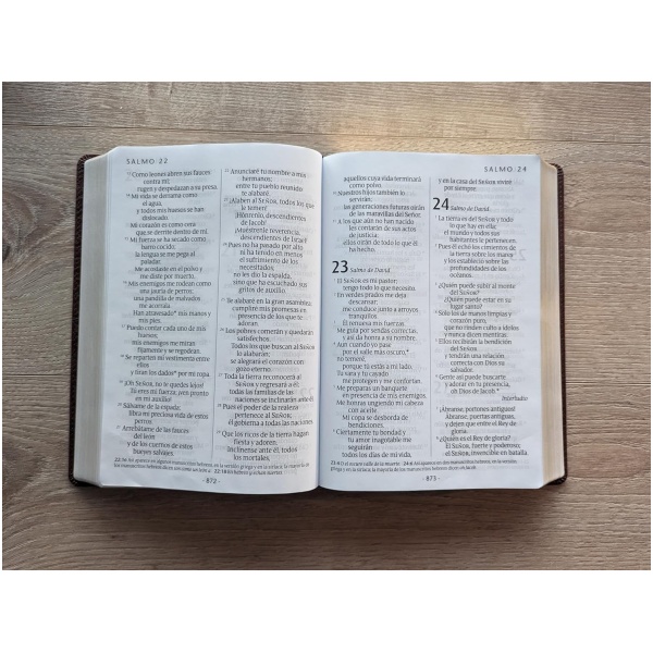 Biblia NTV Café Oscuro Sentipiel Letra súper gigante PJR - Image 2
