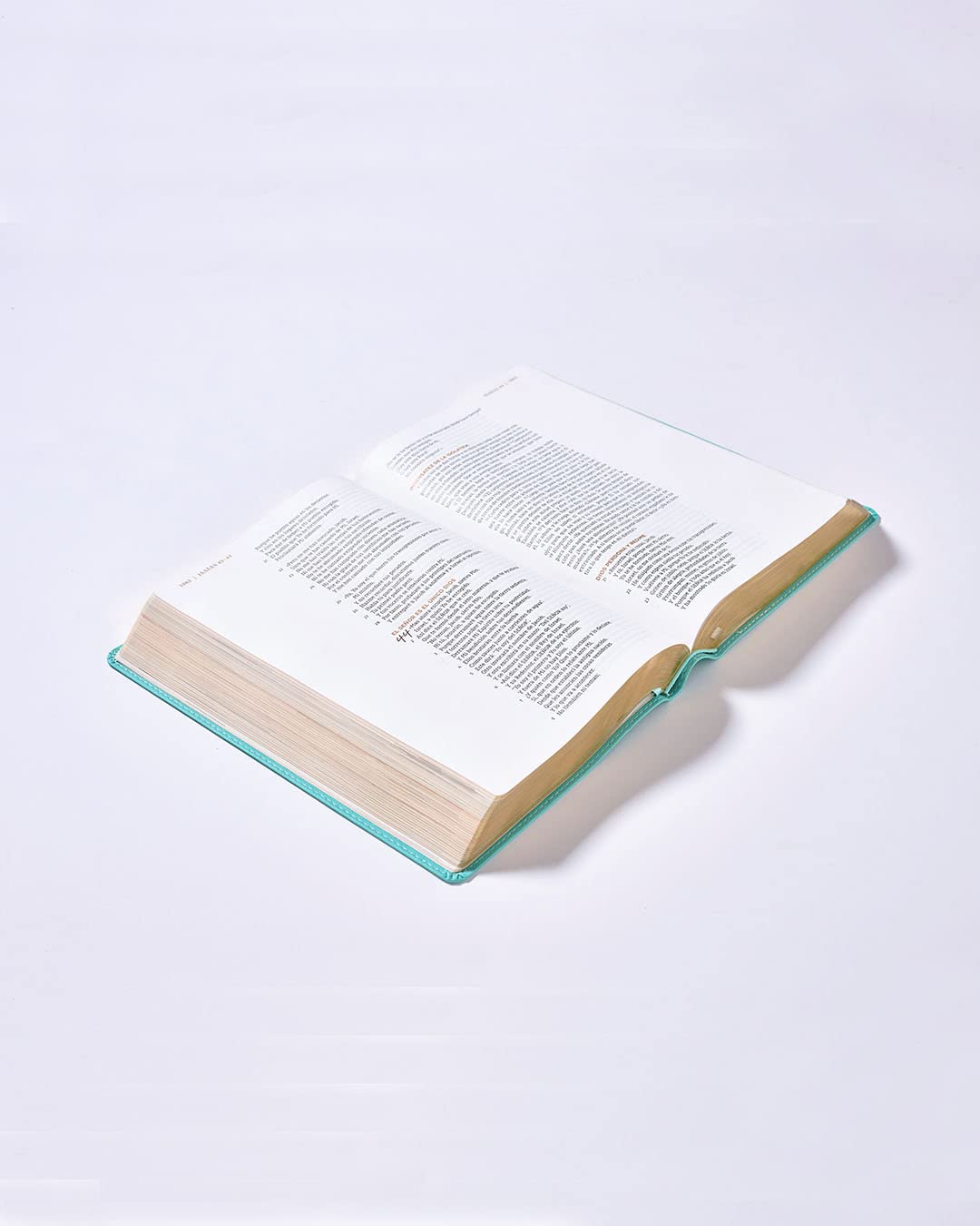 Biblia NBLA Ama A Dios Grandemente, Leathersoft Turquesa