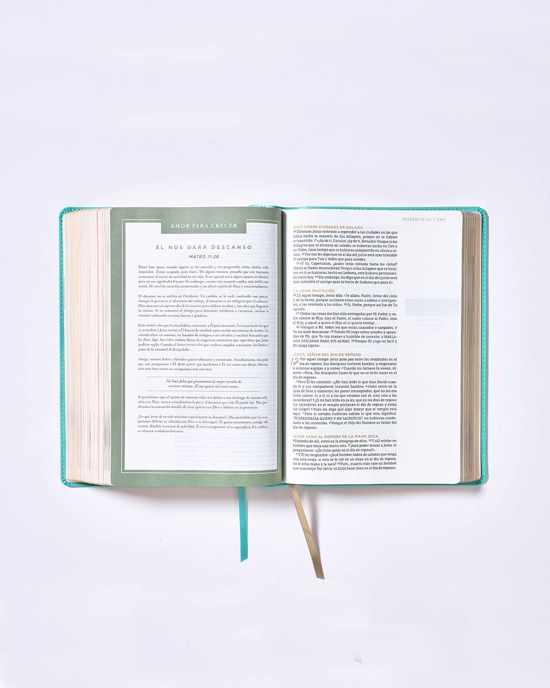 Biblia NBLA Ama A Dios Grandemente, Leathersoft Turquesa