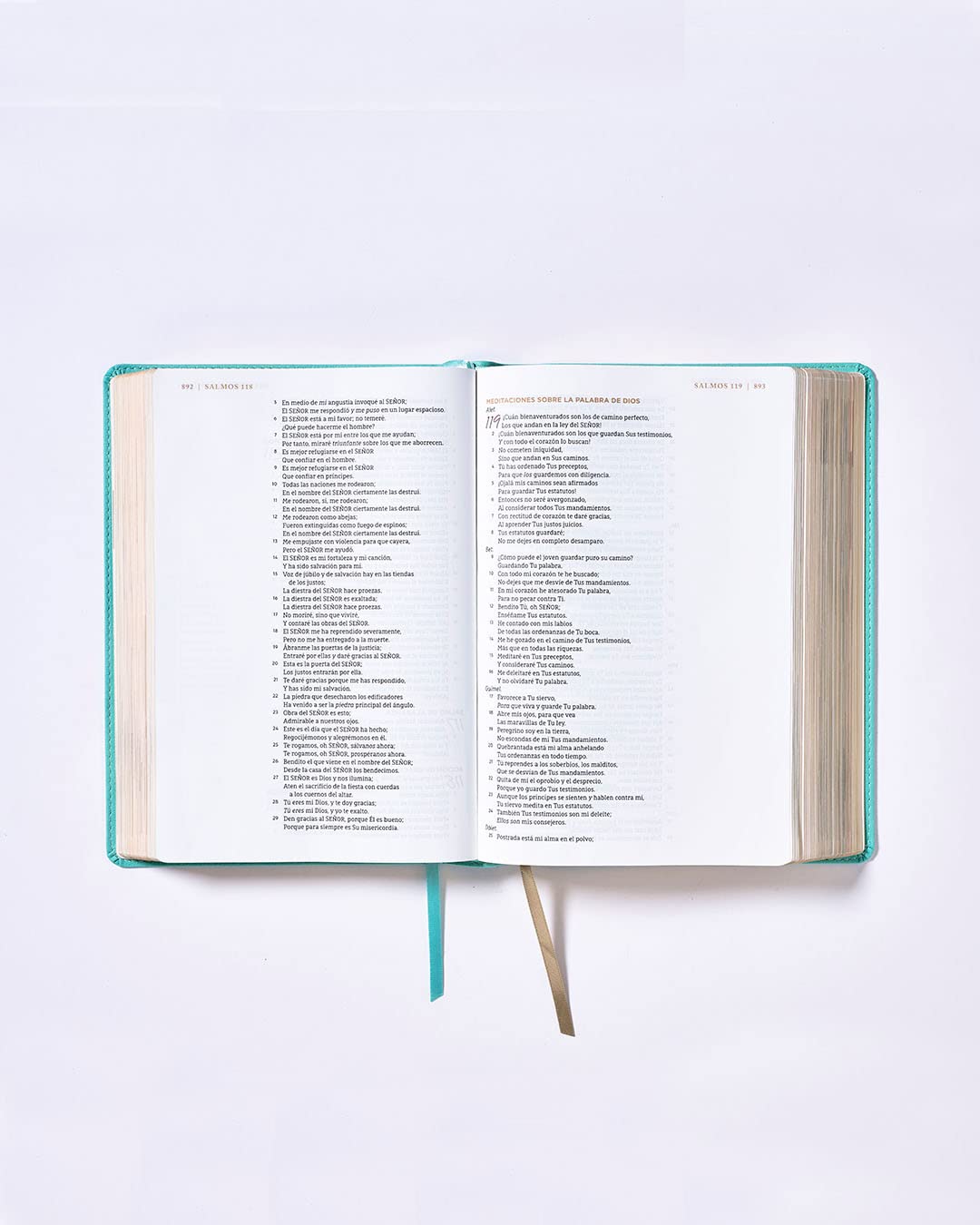 Biblia NBLA Ama A Dios Grandemente, Leathersoft Turquesa