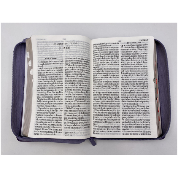 Biblia RVR1960 manual Letra Gigante im. piel cierre índice lila lila MARIPOSA - Image 7
