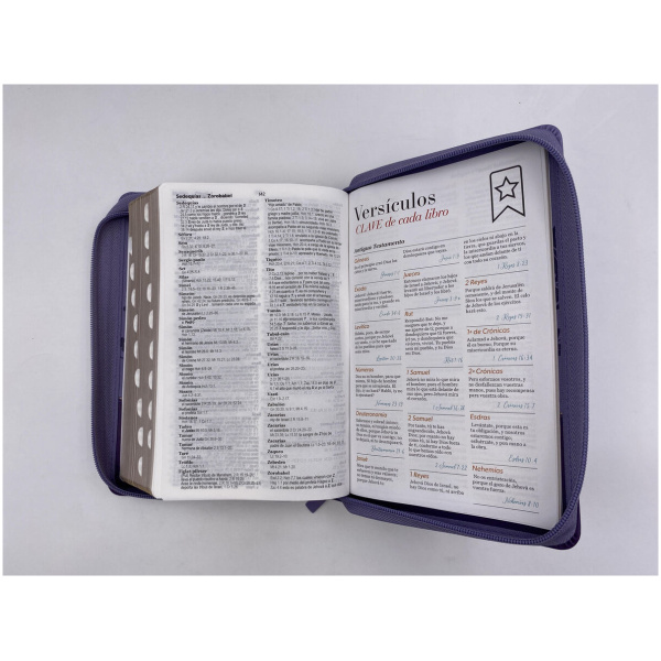 Biblia RVR1960 manual Letra Gigante im. piel cierre índice lila lila MARIPOSA - Image 4