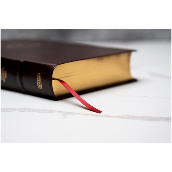 Biblia RVR1960 Del Ministro Ampliada Caoba 12pt - Image 2