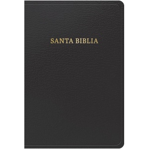 Biblia RVR1960 Manual Negro Imitación Piel 12pt