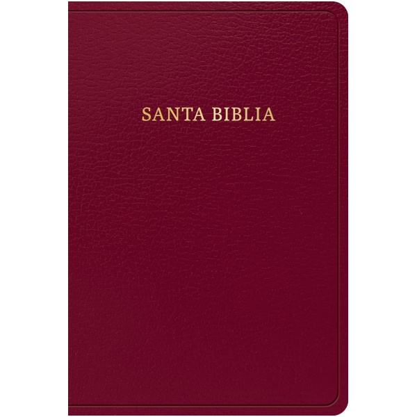 Biblia RVR1960 Manual Borgoña Imitación Piel 12pt