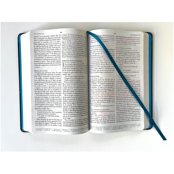 Biblia RVR1960 Manual Tapa Dura Tela León Aguamarina - Image 2