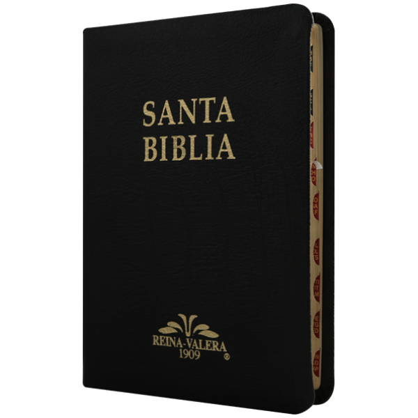 Biblia RV1909 mediana negro índice VR055TI