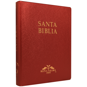 Biblia RV1909 grande vino VR082LM