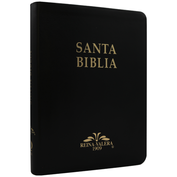 Biblia RV1909 grande negro VR085LM