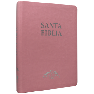 Biblia RV1909 grande rosa VR085LM