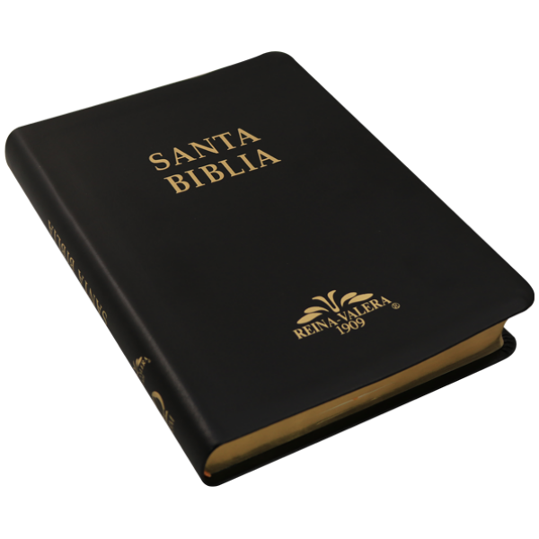 Biblia RV1909 grande negro VR085LM - Image 4