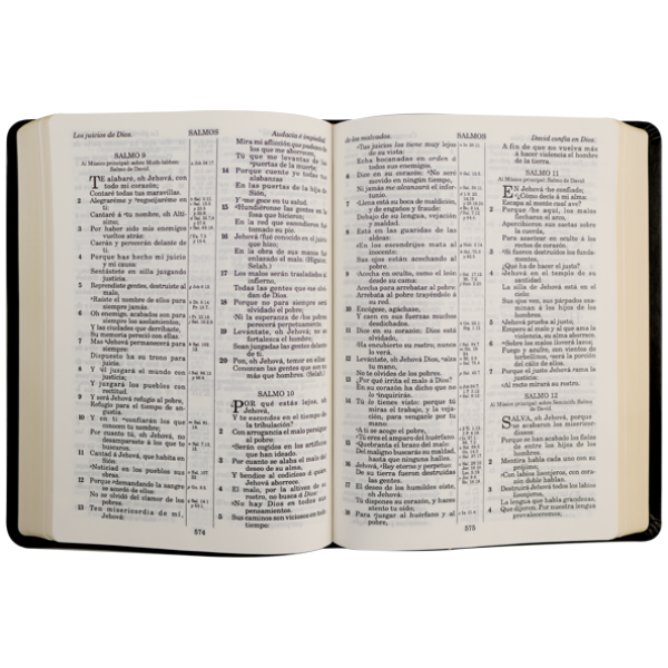 Biblia RV1909 grande negro VR085LM - Image 2