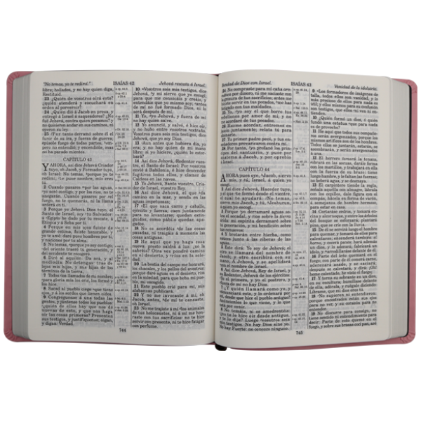Biblia RV1909 grande rosa VR085LM - Image 2