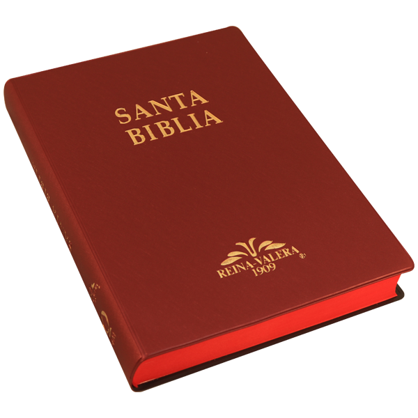 Biblia RV1909 grande vino VR082LM - Image 4