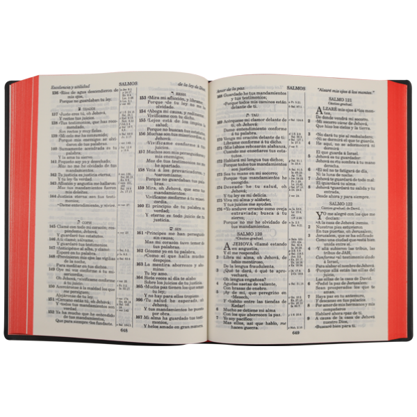 Biblia RV1909 grande vino VR082LM - Image 2